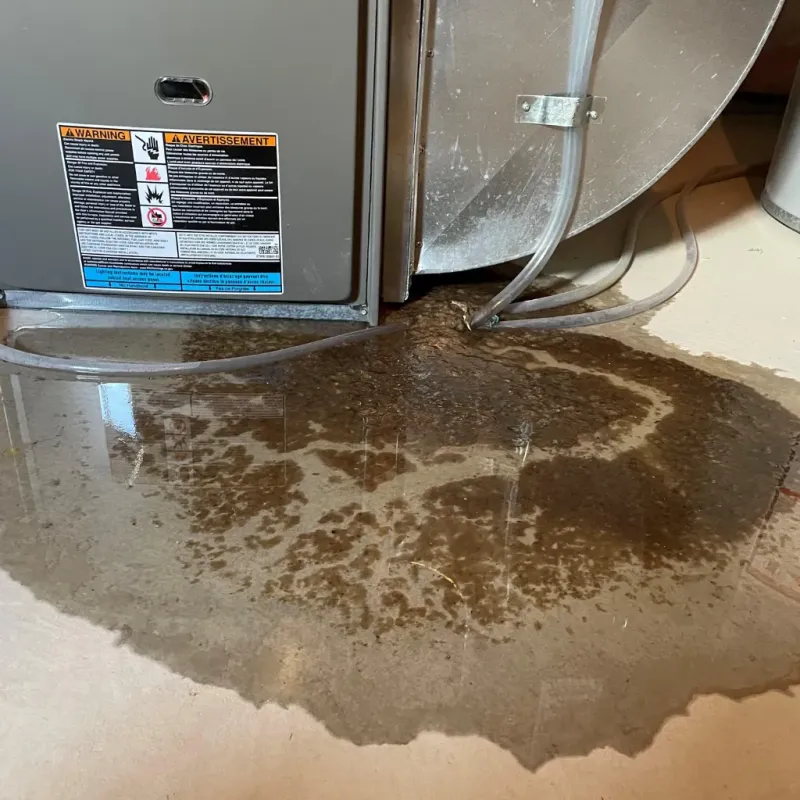 Appliance Leak Cleanup in Wapakoneta, OH