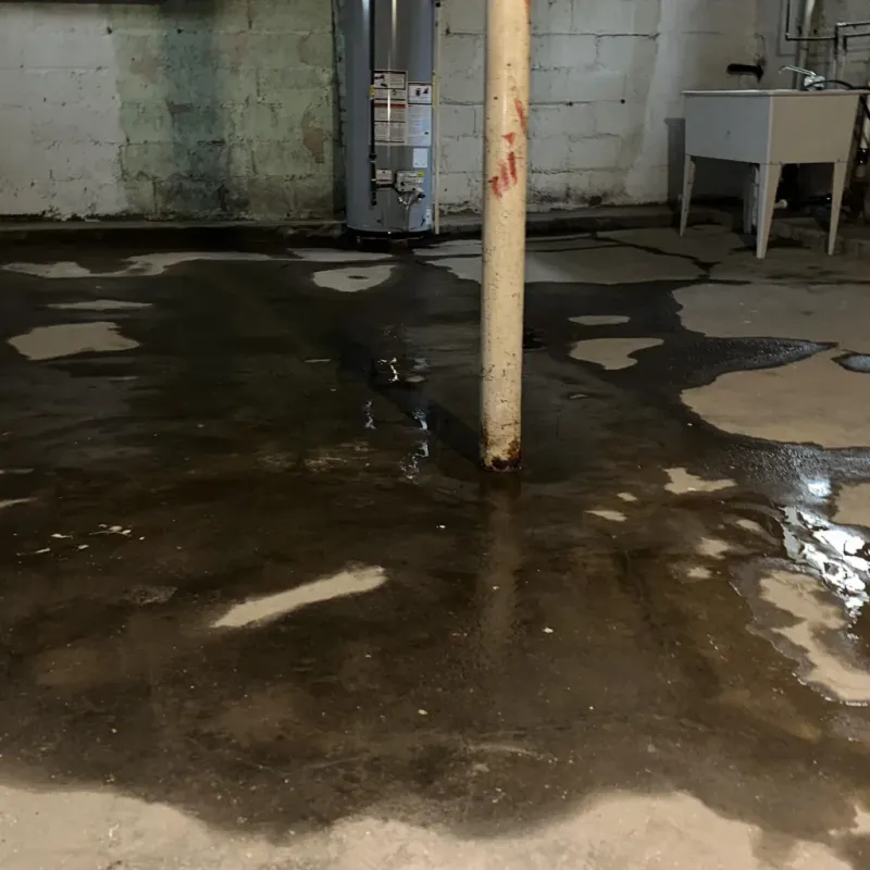 Emergency Water Extraction And Removal in Wapakoneta, OH